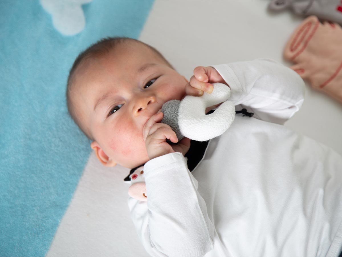 哺乳瓶のにぎにぎ – My little tailor - Amorosa mamma 公式オンライン