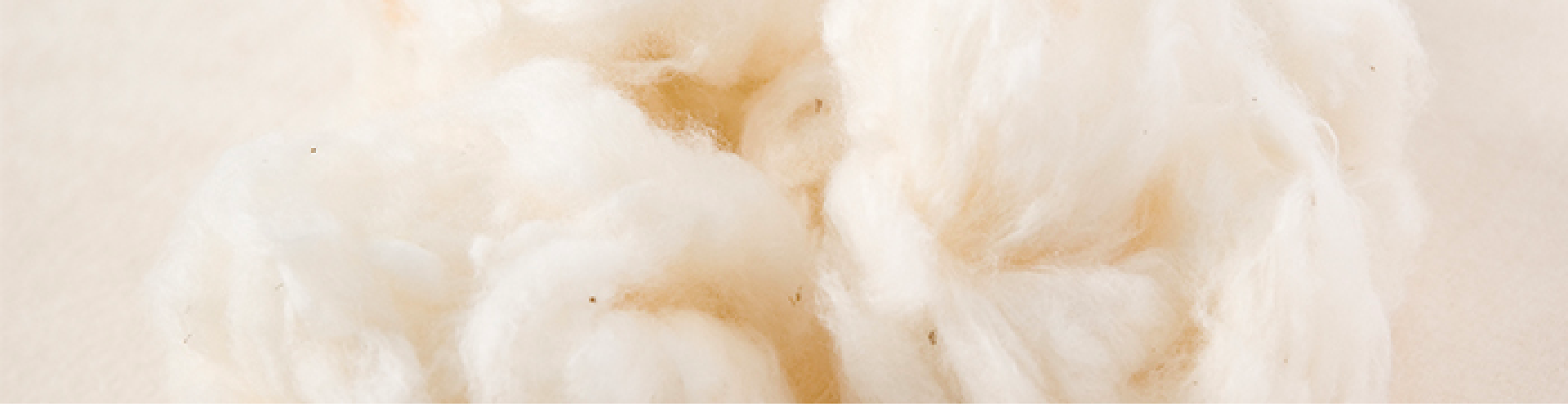 オーガニックコットンとは